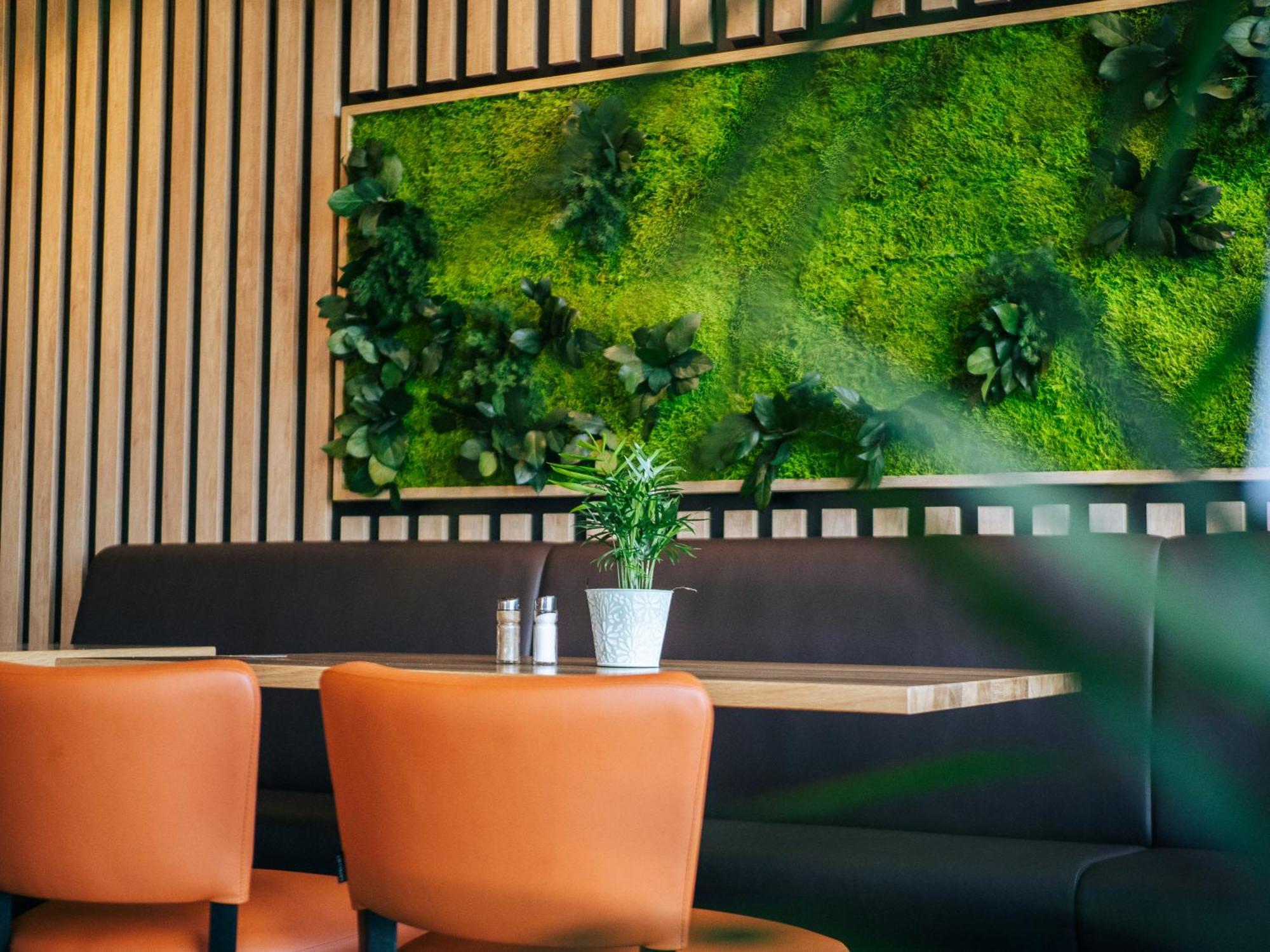 Appartement Am Hohenbusch 부르그로랜드 외부 사진
